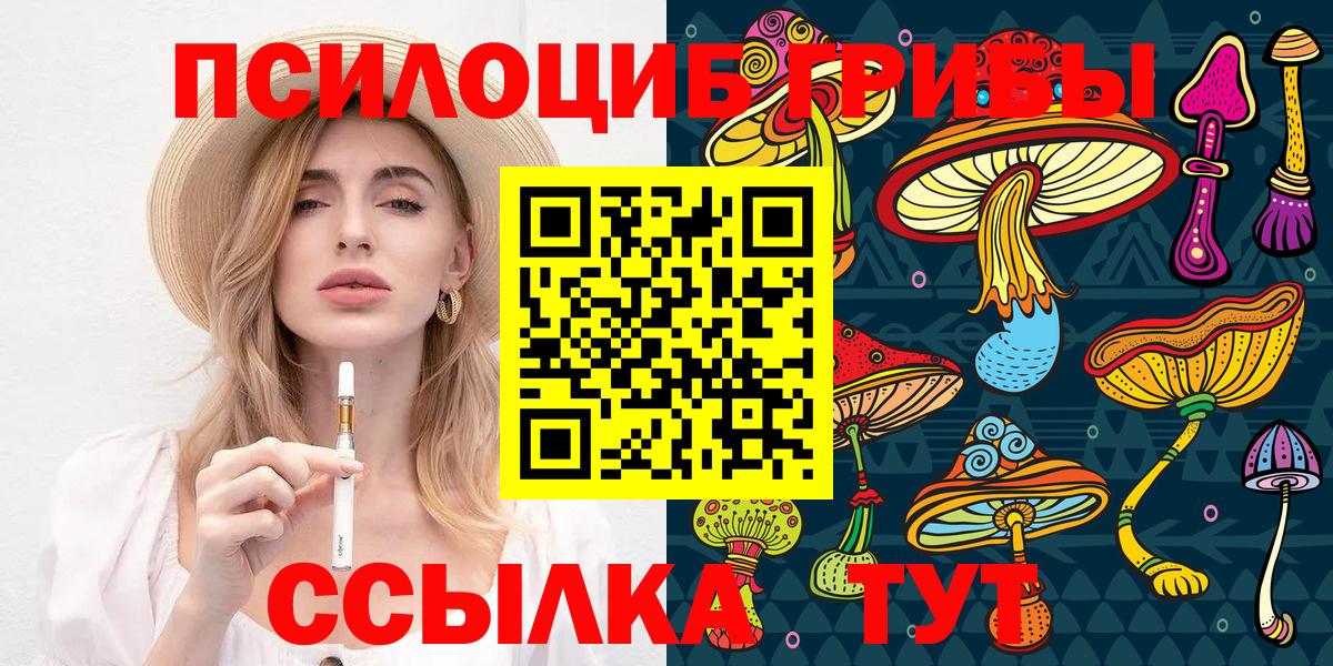 где найти   Вход с VPN  Зеленокумск  Псилоцибиновые грибы GOLDEN TEACHER  Галлюциногенные грибы ЛСД 