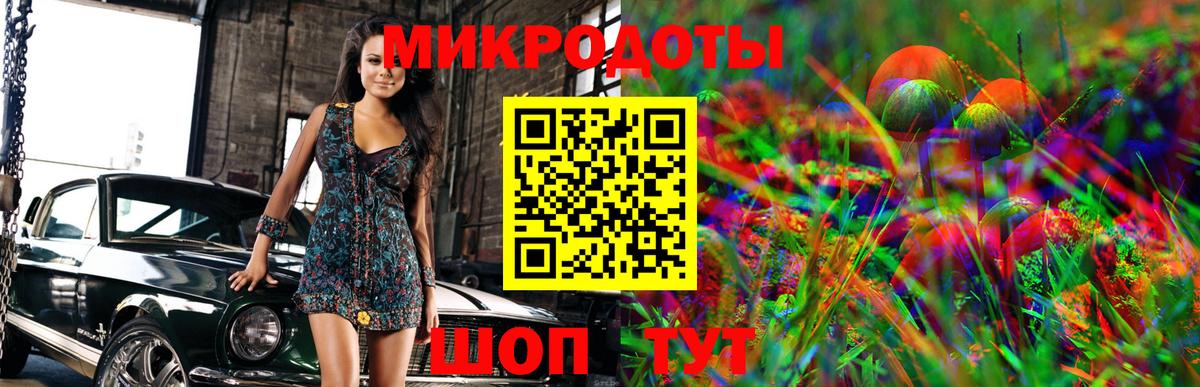 Галлюциногенные грибы Cubensis Зеленокумск